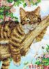 9FCF0F16-EA0D-43FD-9B44-88CDA6BAD6CB.thumb.jpeg.dab74cfa338d55c793cd61b7a47ae0eb.jpeg