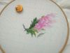 DSC_1065.thumb.JPG.eea2f87f6a13724aa40cbe0e5d32a3b6.JPG