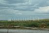 DSC_6644.thumb.JPG.d983a962ffed8f54a436b3378d08a0b5.JPG