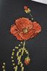 DSC_7264.JPG.24da6235d5c40c5b8ca58b964cfb313a.thumb.jpg.861461a9a448af7461be516d21284927.jpg