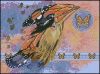 Dimensions_00344-On_Butterfly_Wings.jpg.87808ab8bef708ebf4d2237758e6db13.thumb.jpg.94e125a9541b0adf47dc965ef998c605.jpg
