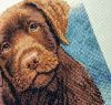 Hot_Chocolate-11.thumb.jpg.8e7737b347729d7e34912a4af3b55e2b.jpg
