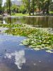 IMG-20230709-WA0004.thumb.jpg.af2a02b330c32b13c21cf30befa6cecf.jpg