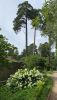 IMG-20230709-WA0017.thumb.jpg.6a78c8ee326ee9d5509ed3af7a84f633.jpg