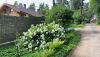 IMG-20230709-WA0018.thumb.jpg.106c49a8e35ef0d5fedad8e82a305f07.jpg