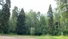IMG-20230709-WA0020.thumb.jpg.2eb10eec635f9788202c399cef34f540.jpg