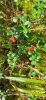 IMG-20230818-WA0015.thumb.jpg.ab440d70dfc61759924d7b9aa9bf733a.jpg