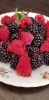IMG-20230823-WA0001.thumb.jpg.0df5ee405c99f45952b22c2c60da93e4.jpg