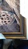 IMG-81dd530f5aca39b95b37364aace60af7-V.thumb.jpg.67cb52c32f015001dfce890ecb1a3c54.jpg