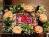 IMG20231011003750.thumb.jpg.663d6104f8636dbc607e6b1e7b4b5cb5.jpg