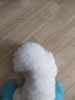 IMG20231027124930.thumb.jpg.fef385beddc763f962952af4342b9df5.jpg