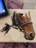 IMG_0271.jpeg