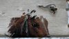 IMG_0428.jpeg