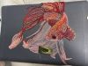 IMG_1310.jpeg