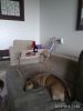 IMG_20190803_115016.thumb.jpg.453addc5dcec054a181ab9bc0bd58a50.jpg