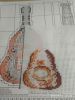IMG_20210313_203806.thumb.jpg.8c332b3a6890a935755b7f200e20589e.jpg