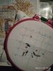 IMG_20211115_182712.thumb.jpg.74d8fb23c913fbc28fdd363607c926fc.jpg