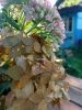 IMG_20230903_163935.thumb.jpg.2a1c604c716da865cda49bb3c5705e0d.jpg