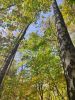IMG_20230930_113148.thumb.jpg.c2f6a073cda44f9eae5990fa0d9852d6.jpg