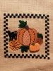 IMG_20230930_121514.thumb.jpg.804f5e01c383d026fa7cc61c8384ce99.jpg
