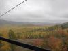 IMG_20231001_104858.thumb.jpg.0ff8b41baf0ef9f76805b60ec04f79bf.jpg