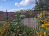 IMG_20231002_120744.thumb.jpg.06a3be3c625dc767d9d4d563541f03d4.jpg