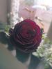 IMG_20231003_174423_Ub1nHwSL0M.thumb.jpeg.013c93c2d414b23e80817ca116d012c3.jpeg