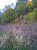 IMG_20231005_180128.thumb.jpg.12847b1a3b429d7d1713c4942f3d59bb.jpg