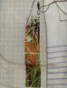 IMG_20231006_085734.thumb.jpg.6d2080f138f78b3130cd45ce17e4fafa.jpg