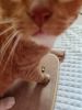IMG_20231007_082704.thumb.jpg.99fabffcdbfef5f9fd46ce047b5b09bd.jpg