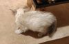 IMG_20231007_204948.thumb.jpg.0203dcea6ab026d52322aa599c44f2e9.jpg
