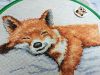 IMG_20231008_093355.jpg