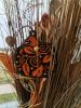 IMG_20231009_153857.thumb.jpg.3928660b70ce1fa2cd54501c1e5d5463.jpg
