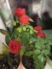 IMG_20231010_232111.thumb.jpg.c99c3ba48d9900f24064b327bf6812eb.jpg