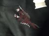 IMG_20231013_013534.thumb.jpg.efaeafb2b6c2195aa65f26fee8e5edc7.jpg