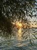 IMG_20231014_185918_456.thumb.jpg.ff4b32a2d651df2b6a75d3e763d40665.jpg