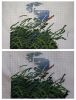 IMG_20231016_165648.thumb.jpg.23f6e1dca2c9d876ff9bb768f93c0622.jpg