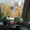 IMG_20231017_104735.thumb.jpg.017de8cb3be820aaafed1ad5d2e2684c.jpg
