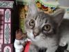 IMG_20231018_152629.thumb.jpg.97fbf4aa3b6e03a9a55831f7515dd8f4.jpg
