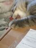 IMG_20231019_092815.thumb.jpg.66f77d996ac3399dc3311f4c040b812d.jpg