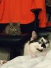 IMG_20231019_231952.thumb.jpg.a9c94d77369a403551dea9aead2a5233.jpg