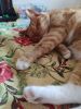 IMG_20231020_084216.thumb.jpg.13961427babc2c10246773473b1d46fa.jpg