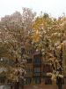 IMG_20231026_083737.thumb.jpg.1f66ff3931e6772faba2347730e4c7bc.jpg