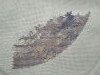 IMG_20231027_162731.thumb.jpg.0fc805ce58df8a80180f9b40673ecb0a.jpg?1698583881471
