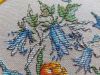 IMG_2703.thumb.jpeg.67d9d0f74769bf5a7dc4e35391a11d51.jpeg