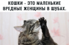 IMG_8091.thumb.png.664fd054e6076f72539d414ec3954e6f.png