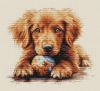 cross-stitch-kit-luca-s-the-play-time-bu5037-luca-s-cross-stitch-kits-1.thumb.jpg.3b8203768d17d1e28e2f06fabbddbca7.jpg