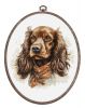 cross-stitch-kit-with-hoop-included-luca-s-the-cocker-spaniel-bc223-luca-s-counted-cross-stitch-kit-1.thumb.jpg.972c8f6d095c6c15978feebeb709c01a.jpg