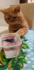 20231027_210216.thumb.jpg.d61c291a66deab919d79629f6c9466dc.jpg