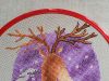 20231106_113326.thumb.jpg.b86352fe11ee41afe6f6b000d2167041.jpg